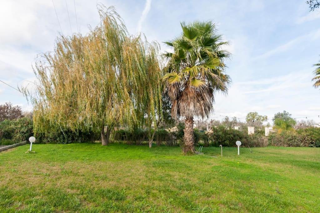 Villa Delle Stelle Con Piscina Leverano Eksteriør bilde